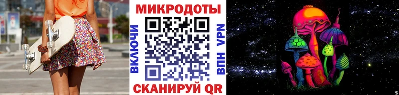 магазин  наркотиков  кракен как зайти  Псилоцибиновые грибы мицелий  Стародуб 